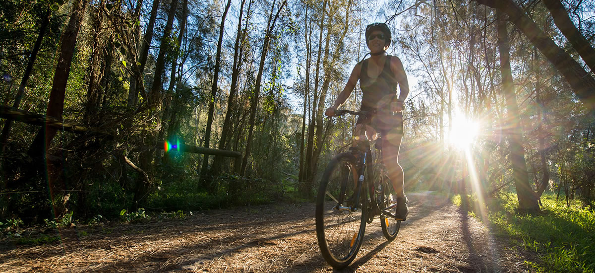 Narrabeen Lagoon Trail